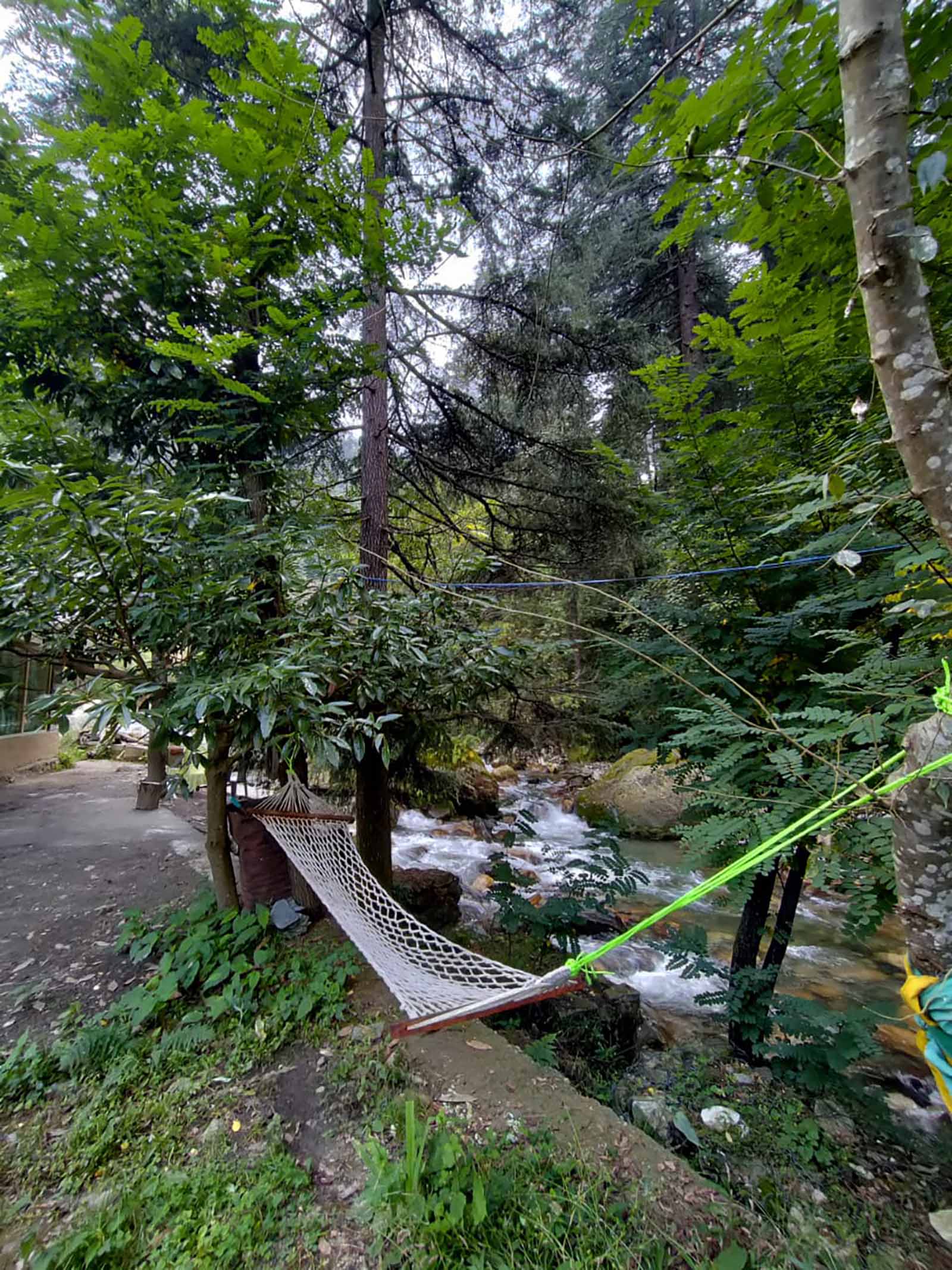 Hammock